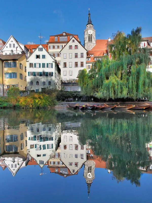 neckarfront_mit_stocherkaehnen.jpg